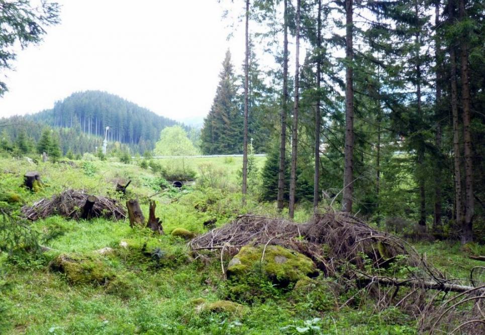 pozemky-na-ktorych-ma-vyrast-apartmanovy-wellness-hotel-jasna-2