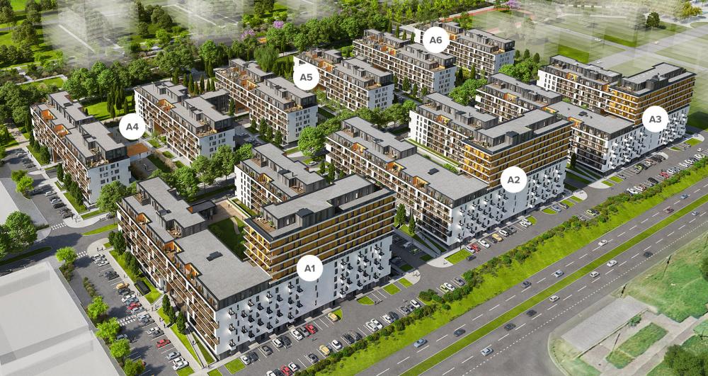 slnecnice-zona-mesto-7
