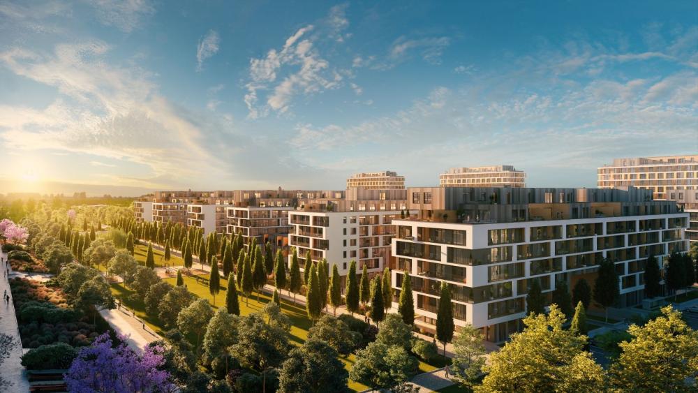 slnecnice-zona-mesto-pohlad-na-park