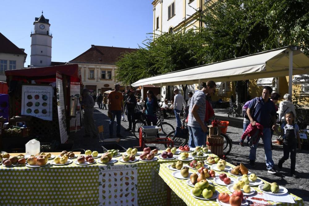 trencin_centrum